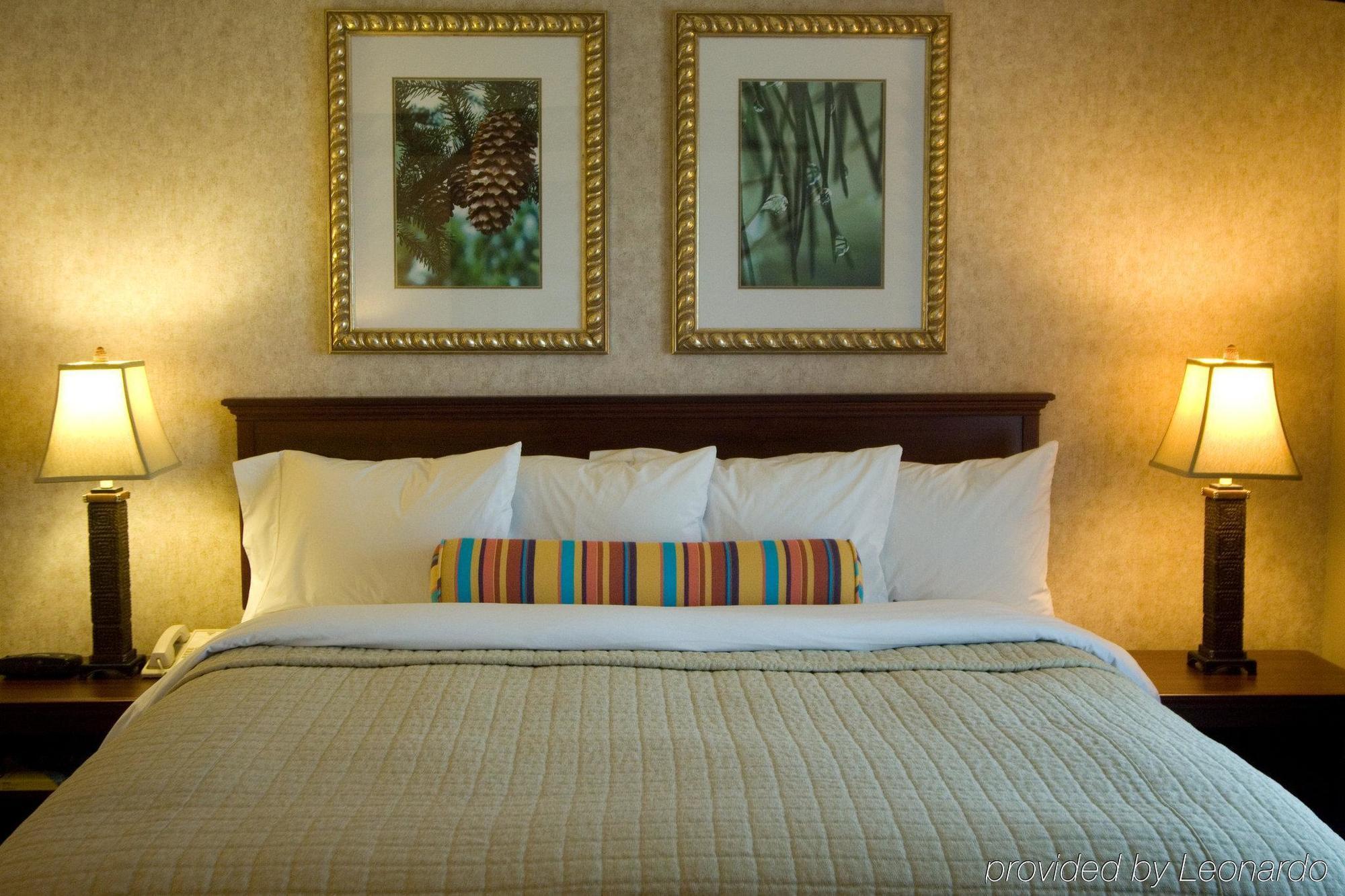 Phoenix Inn Suites Albany Pokoj fotografie